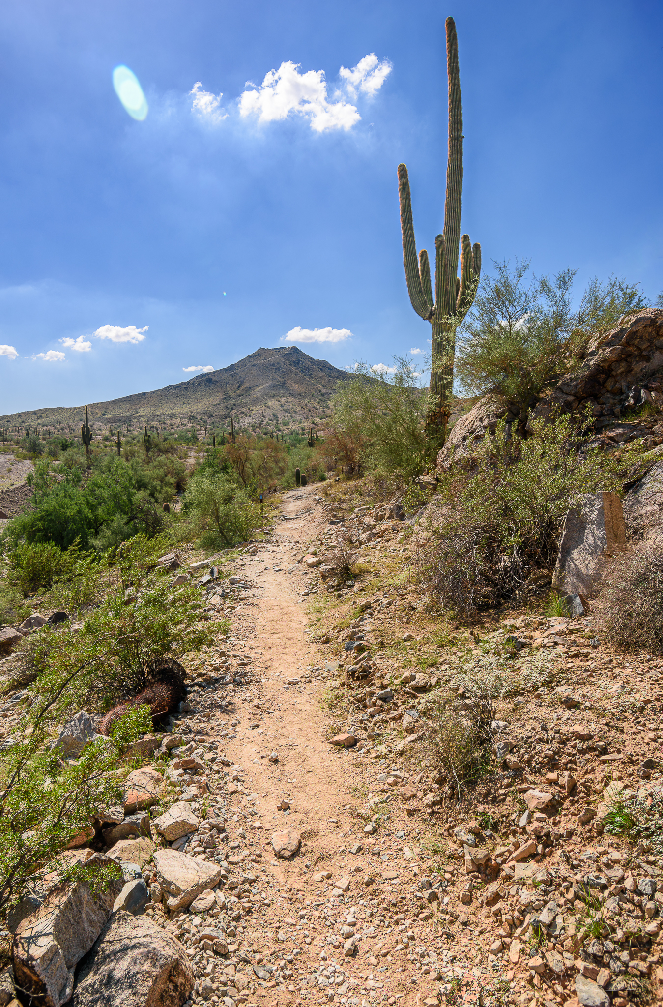 Top 3 Most Unique Hikes in Phoenix, Arizona